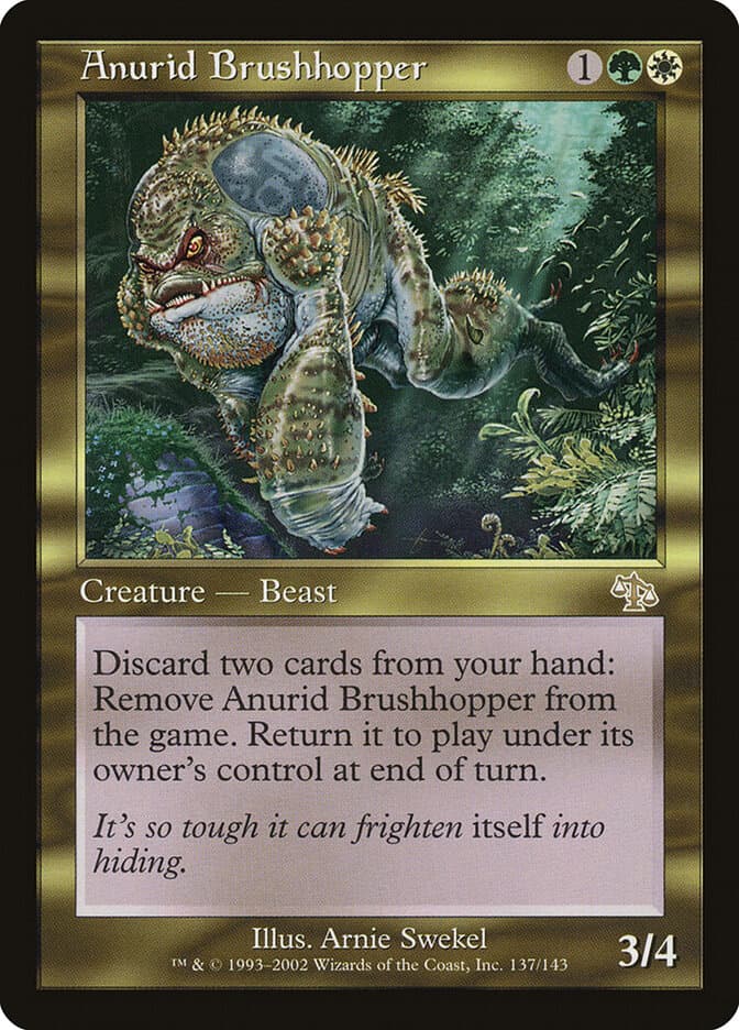 Anurid Brushhopper — Judgment 137